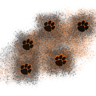 paws.png