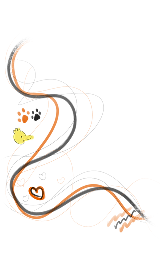 Ducky picture 'banner'.png