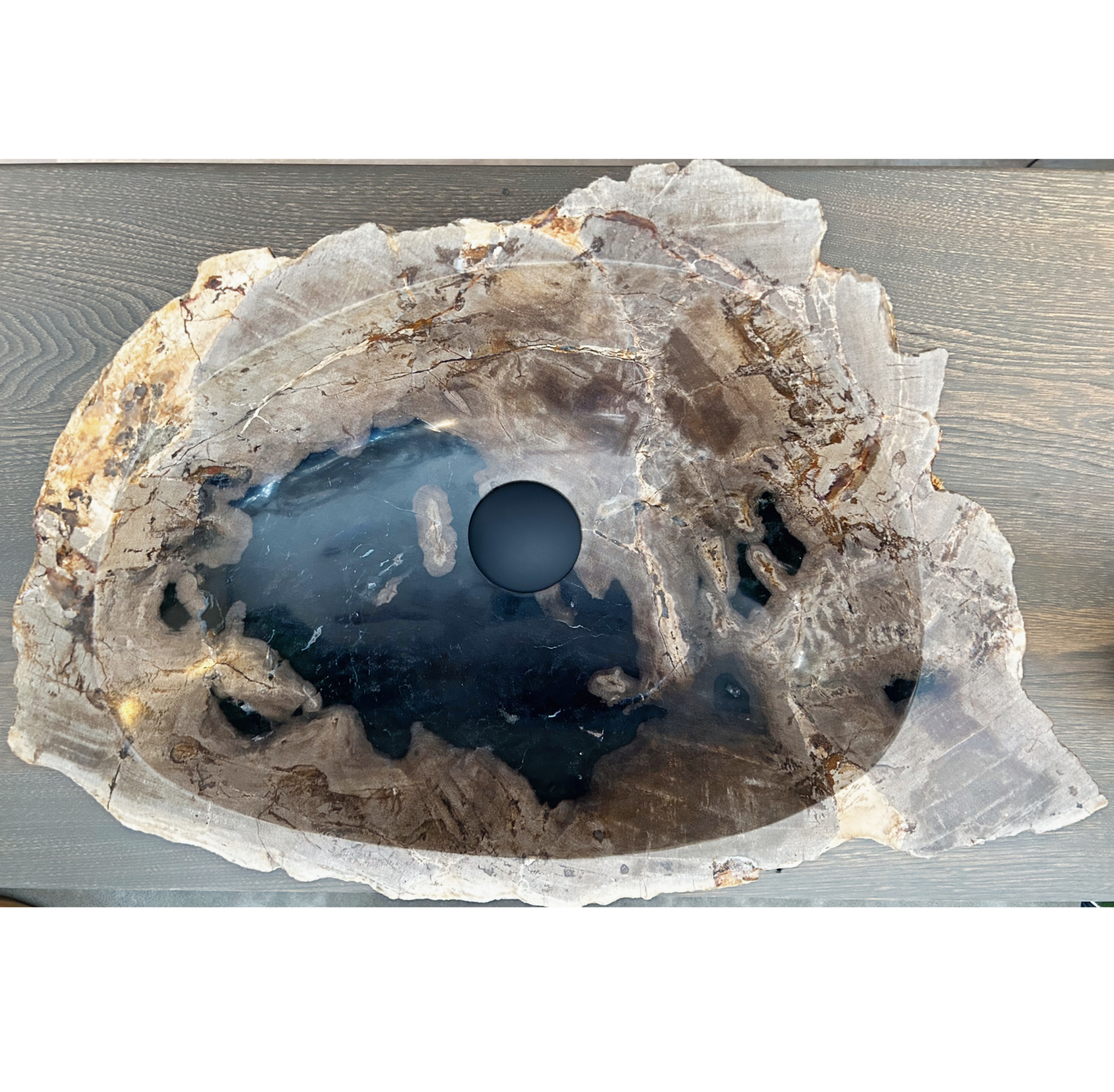 Vasque en bois pétrifié #960