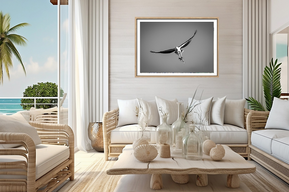 Thumbnail: oak-framed print of fish in the talons of a White-bellied Sea Eagle
