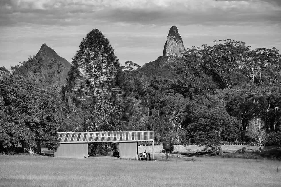 Black & white image of old barn near the Glasshouse Mountains in Queensland