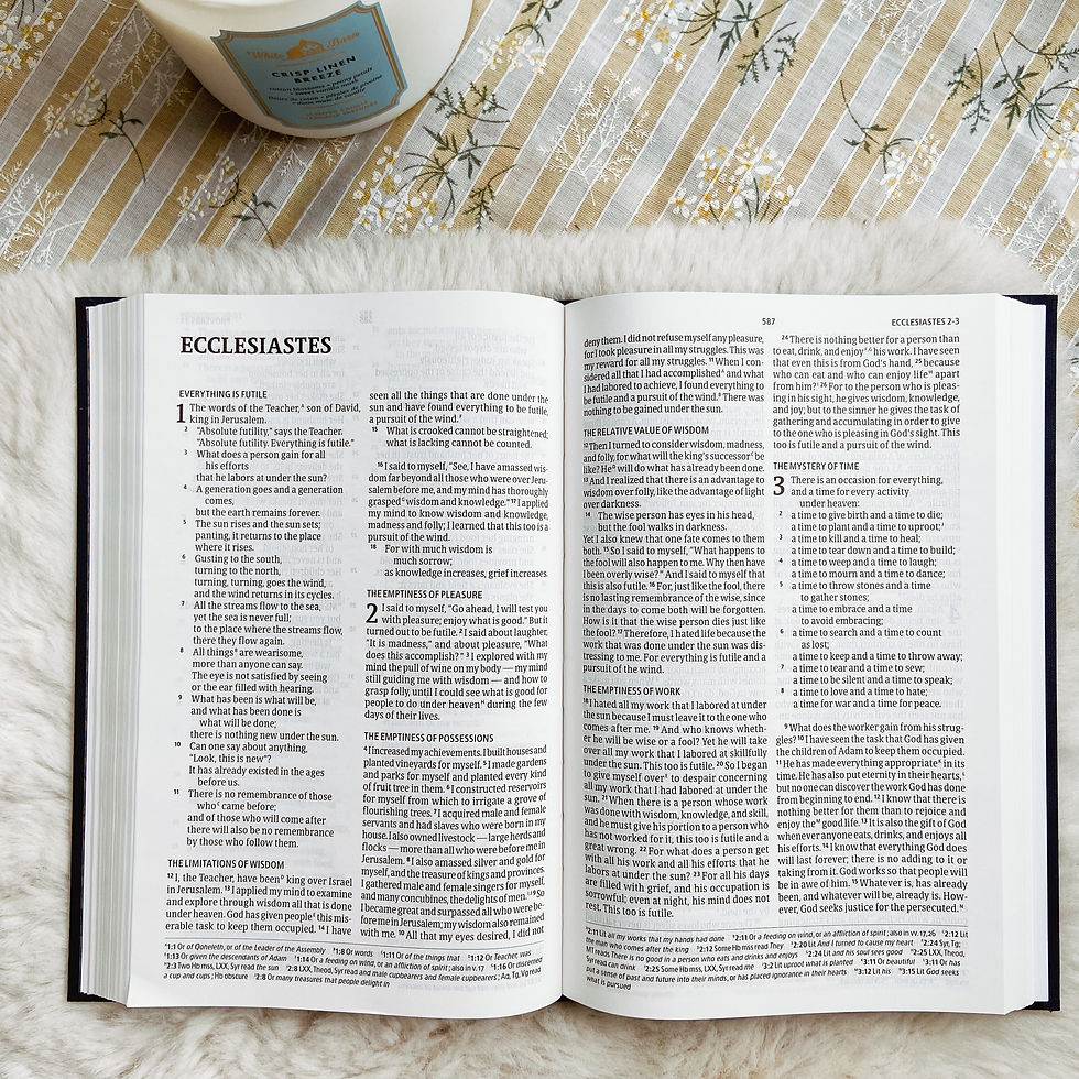 Thumbnail: CSB Ultrathin Bible