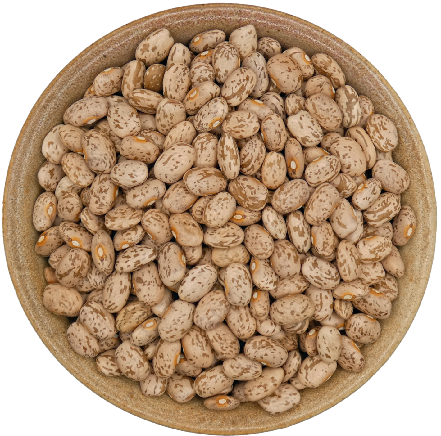 Pinto Beans