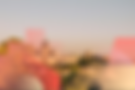 Madrid - GV Website (2).png
