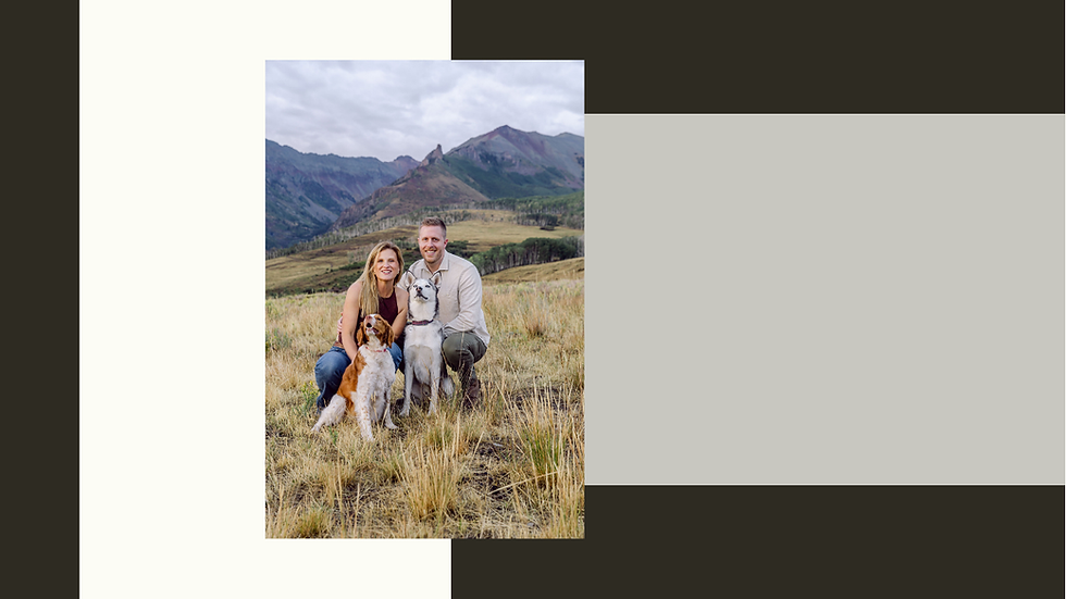 Carry Website (1).png