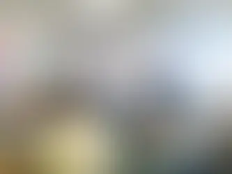 社会民主党練馬総支部大会