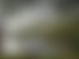 Att välja sin utsikt