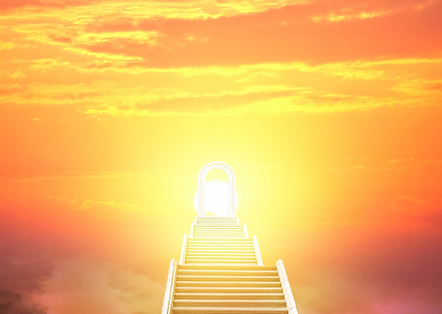PLR (2).png