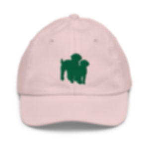 Green Dos Doods - Youth baseball cap