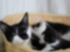 DSC07498.JPG
