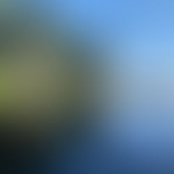 Paddlers in a canoe face the camera as they sit atop glassy Lake Opeongo surrounded by summer trees.