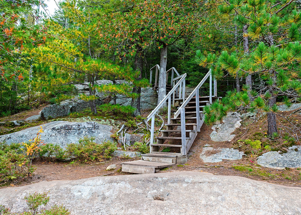 A staircase made of wood in the woods to assist hikers along the rocky terrain of Booth's Rock Trail