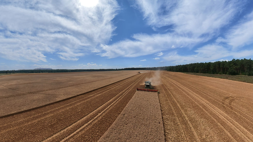 DJI_20260716143649_0045_D_1784790219606.jpg