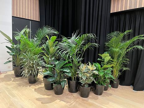 Tropical event foliage.jpg