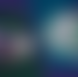 Vehicle Shipping - Container vs RoRo: Market Trends