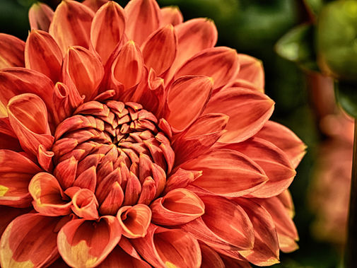 Quedarse con el Padre - Muéstrame tu Rostro