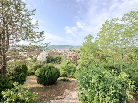 Voll erschlossenes Baugrundstück in Güglingen mit ca. 600 m² Fläche in ruhiger Hanglage und schöner Aussicht über die Dächer der Stadt und das Zabergäu.