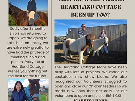 WHAT HAVE THE AMAZING TEAM AT HEARTLAND COTTAGE BEEN UP TOO?