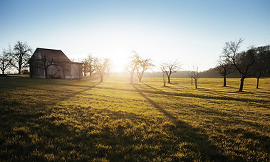 Farm Field