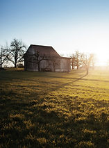 Farm Field