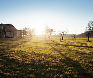 Farm Field