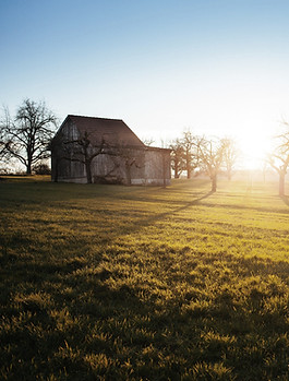 Farm Field