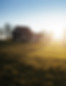 Farm Field