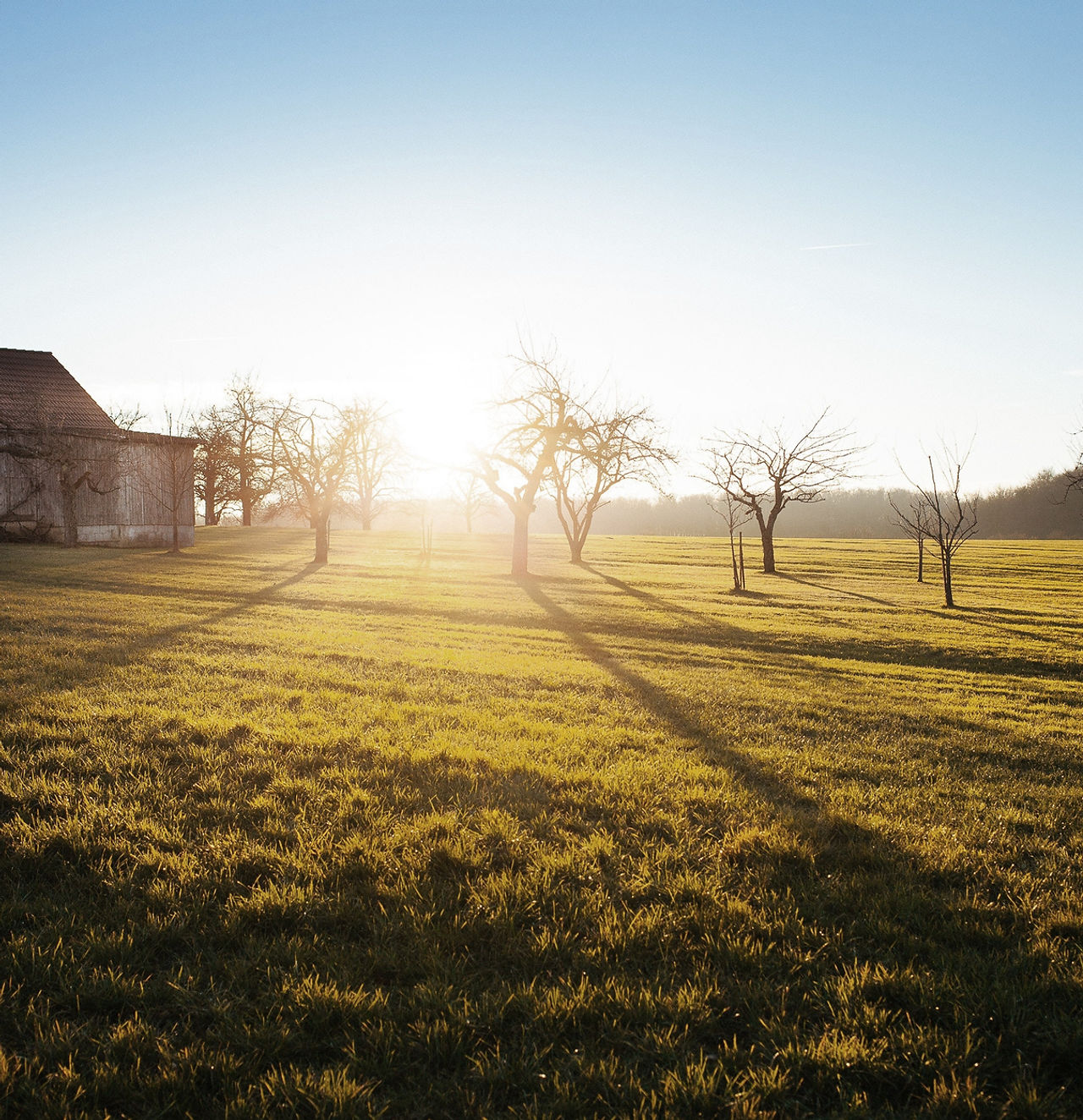 Farm Field