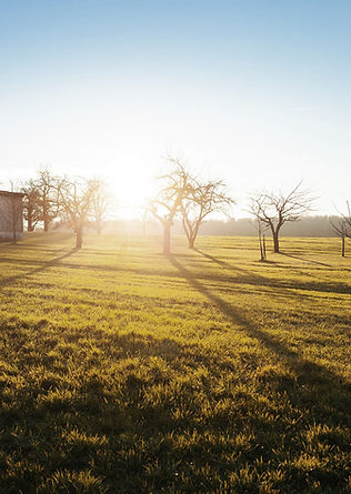 Farm Field
