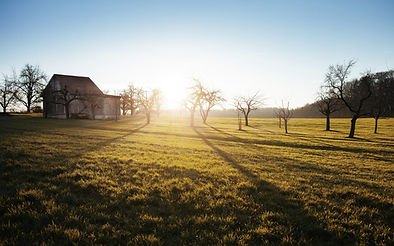 Bauernhof Feld