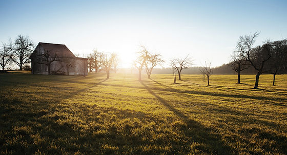 Farm Field