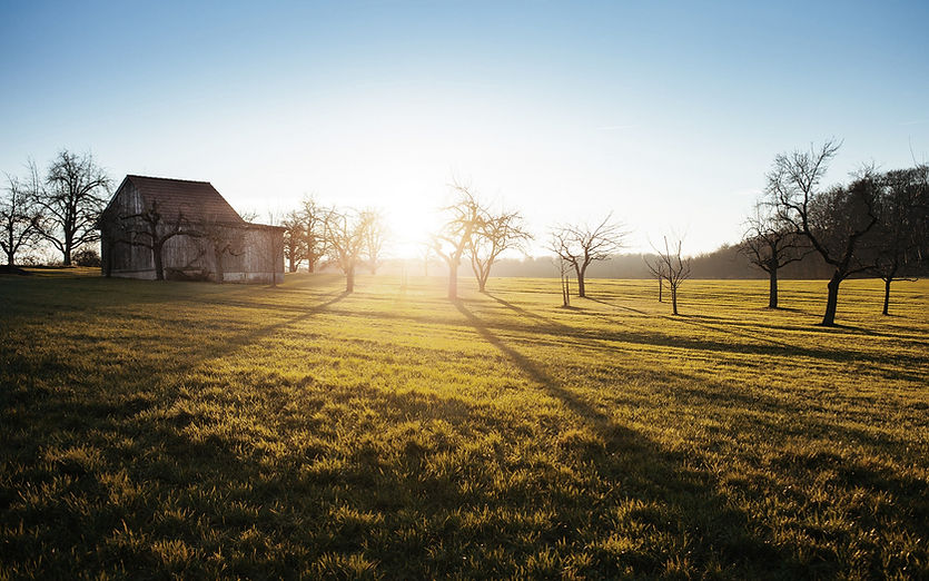 Countryside Sunset Scene
