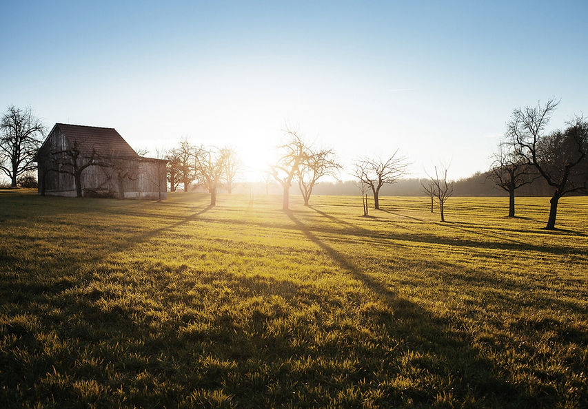 Farm Field
