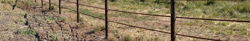 Sucker Rod Fence