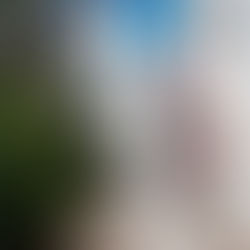 La Ciudad de los 15 Minutos a llegado a Arizona. Sera una conspiracion y/o que sera?