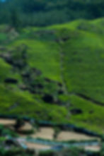 Nuwara Eliya
