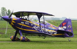 Pitts S1D