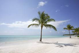 Como surgiu esse paraíso conhecido como Punta Cana