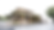 View 2.png