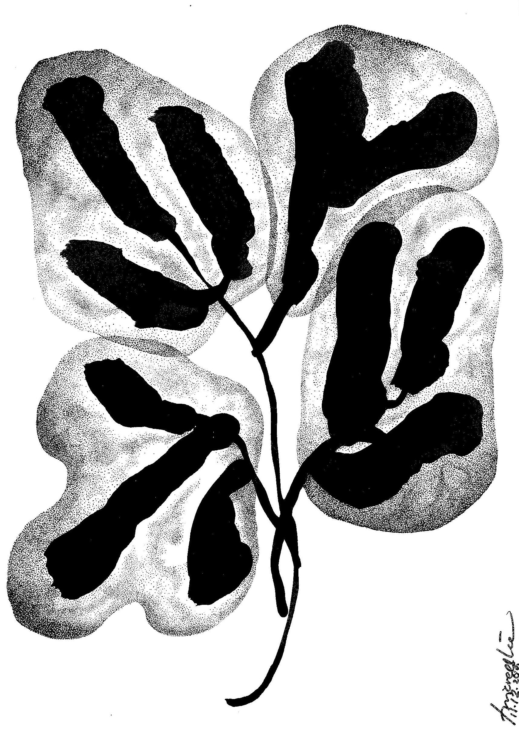 Leaf of Life