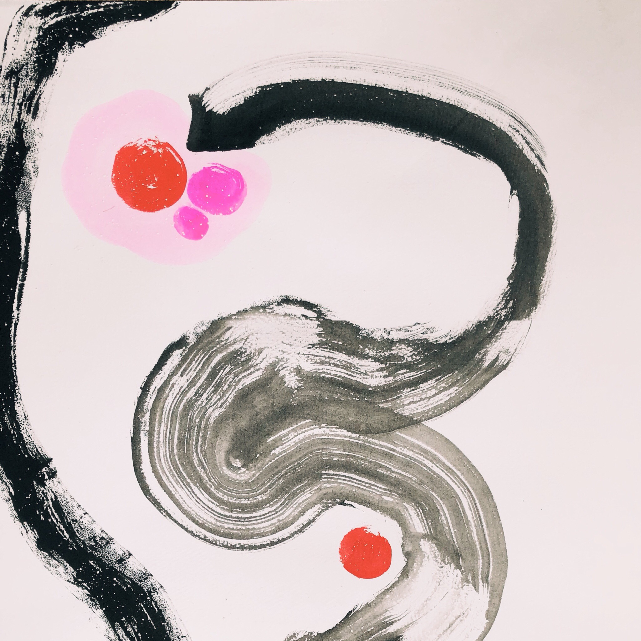 Bloom