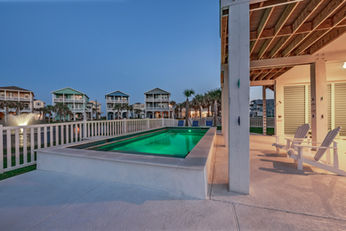 Snowy Egret DDC_3990.jpg