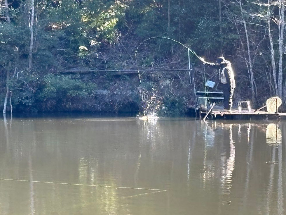 簡潔！トラポン対策！