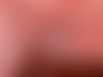 2026年4月05日（日）今日のトラポン