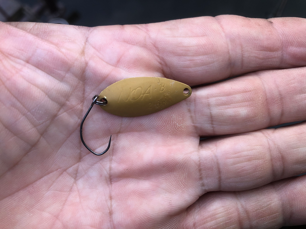 2025年12月10日(水)今日のトラポン