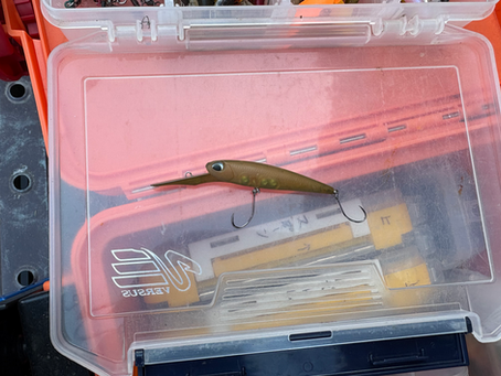 2025年12月23日(火)今日のトラポン