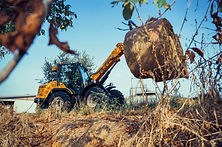 Chariot télescopique Dieci Agri Pivot
