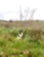350360807_6718246254854597_6558321280971812964_n_edited.jpg