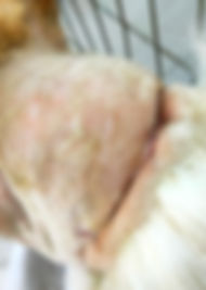 291055334_2189977644497831_2059742797029613122_n_edited_edited.jpg