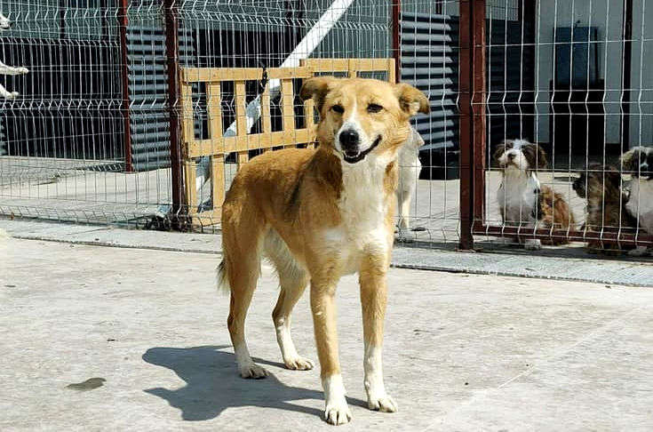 Patin Gabriela D.